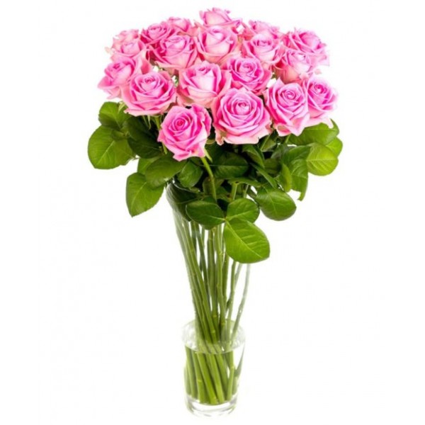 Pink Roses for Home or Office